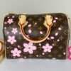 LV X Murakami Cherry Blossom Speedy 25