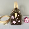 LV X Murakami Cherry Blossom Speedy 25
