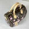 LV X Murakami Cherry Blossom Speedy 25