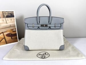 IMG_0232 Hermès Gris Pantin Birkin 25 Canvas with Palladium Hardware